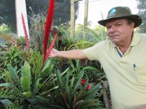 O bromeliário pode ser visitado das 7 às 17h, de segunda a sexta. Foto: Bruno Lyra