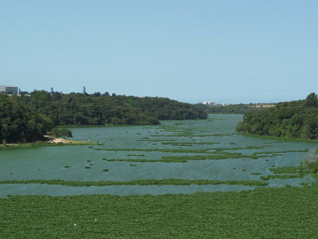 Lagoa Jacuném