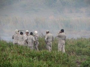 Neste momento, uma equipe do Corpo de Bombeiros atua na região.