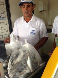 A sardinha é um dos peixes mais procurados. Foto: Divulgação PMS