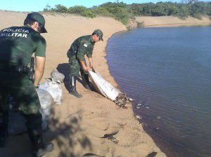 Quem descumprir a lei poderá ser punido com pena de detenção de um a três anos e multa. Foto: Divulgação BPMA