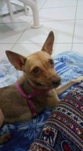 Hanna