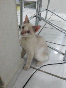20150430_173226