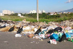 Moradores alegam que a prefeitura não retira o lixo do local. Foto: Leitor TN