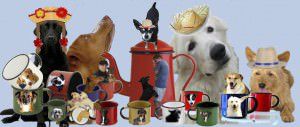 café com prosa