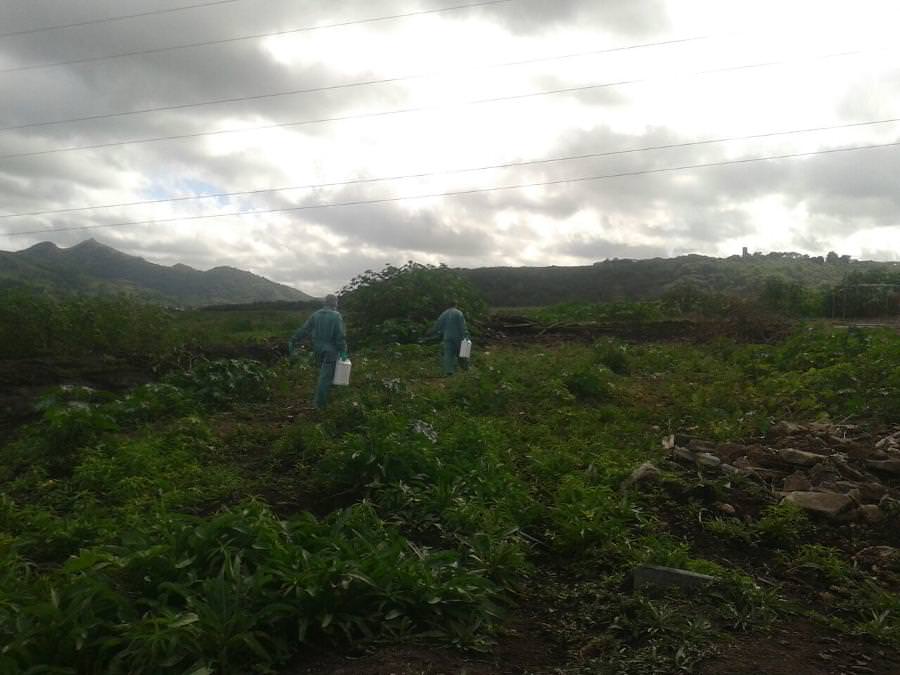 Ontem (11) o combate contra os pernilongos aconteceu na área das turfas. Foto: Divulgação