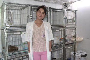 A clínica também possui sala de internação para cães e gatos. Foto: Ana Paula Bonelli
