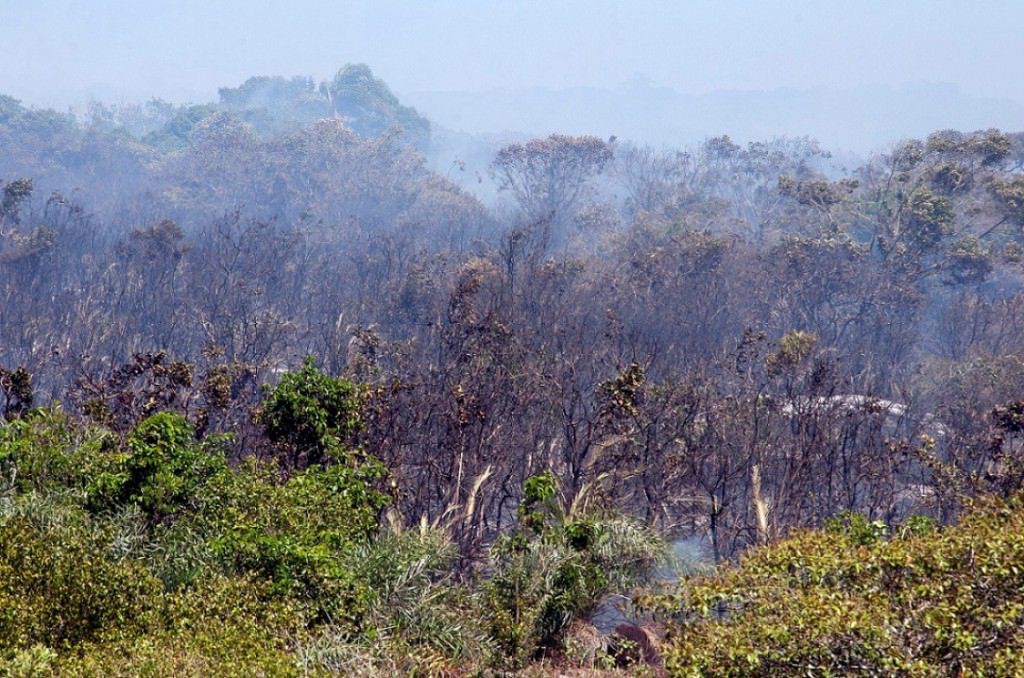 Incendio Parque Estadual Paulo Cesar Vinha_Credito Mario Candeia