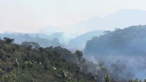 A área de proteção ambiental da lagoa Jacuném foiduramente atingida