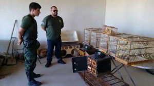 O fato ocorreu em Serra Dourada III nesta terça-feira (23). Foto: Divulgação BPMA