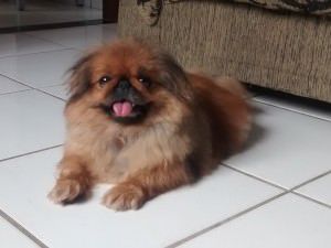 Vivi