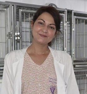 Patricia Ribeiro de Oliveira é pós graduanda em Endocrinologia de Cães e Gatos e médica veterinária das clínicas Mvet Popular e Climev Laranjeiras. Foto: Arquivo TN