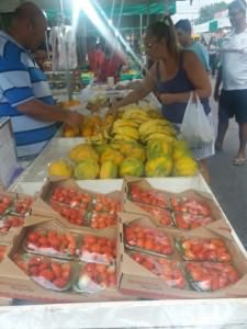 A inauguração da feira aconteceu no último dia 18. Foto: Divulgação leitor