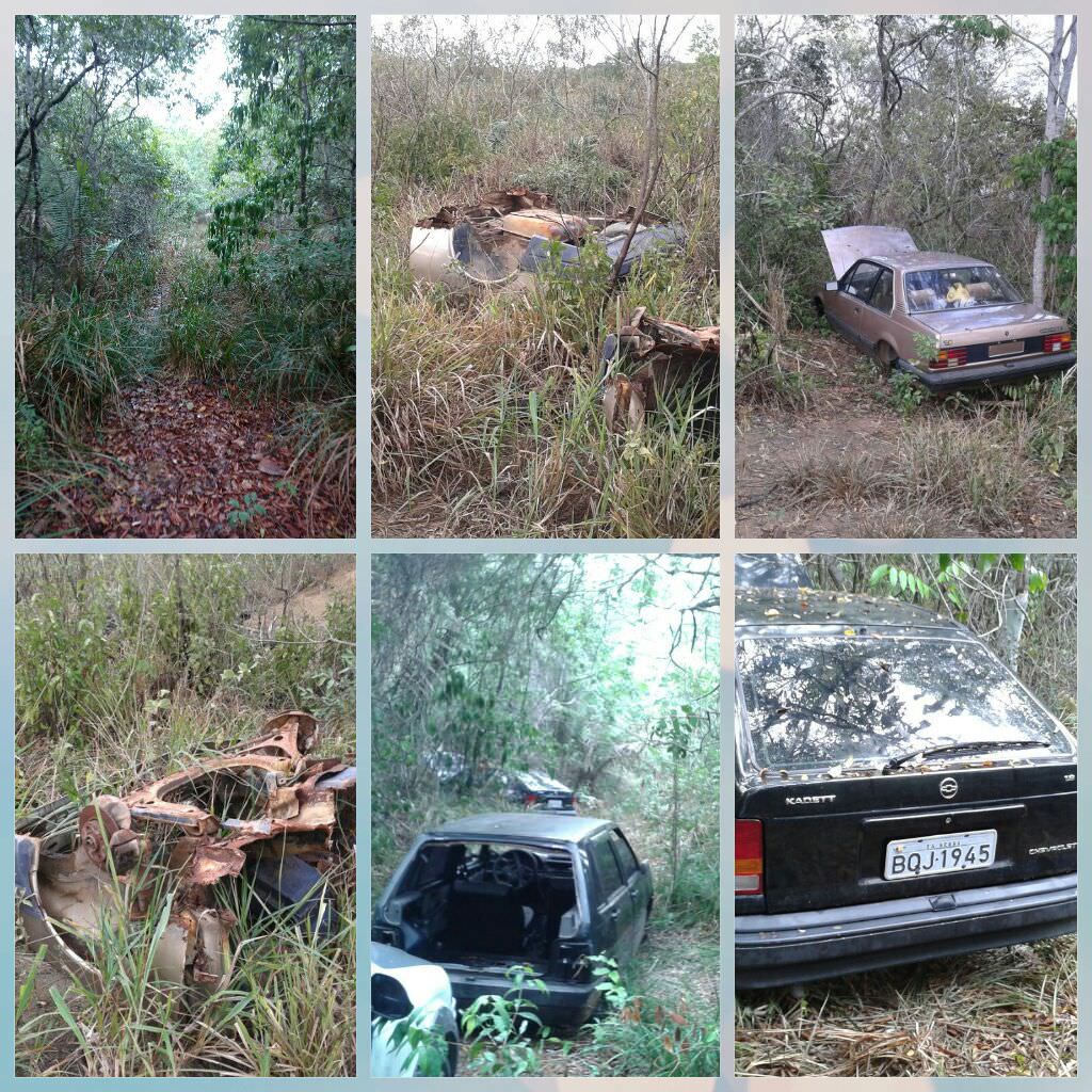 Foto dos carros achados no mato em Feu Rosa. Foto: Divulgação