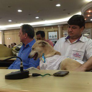 Ambrosio com o veterinário Marcos Lesqueves. Foto: Divulgação