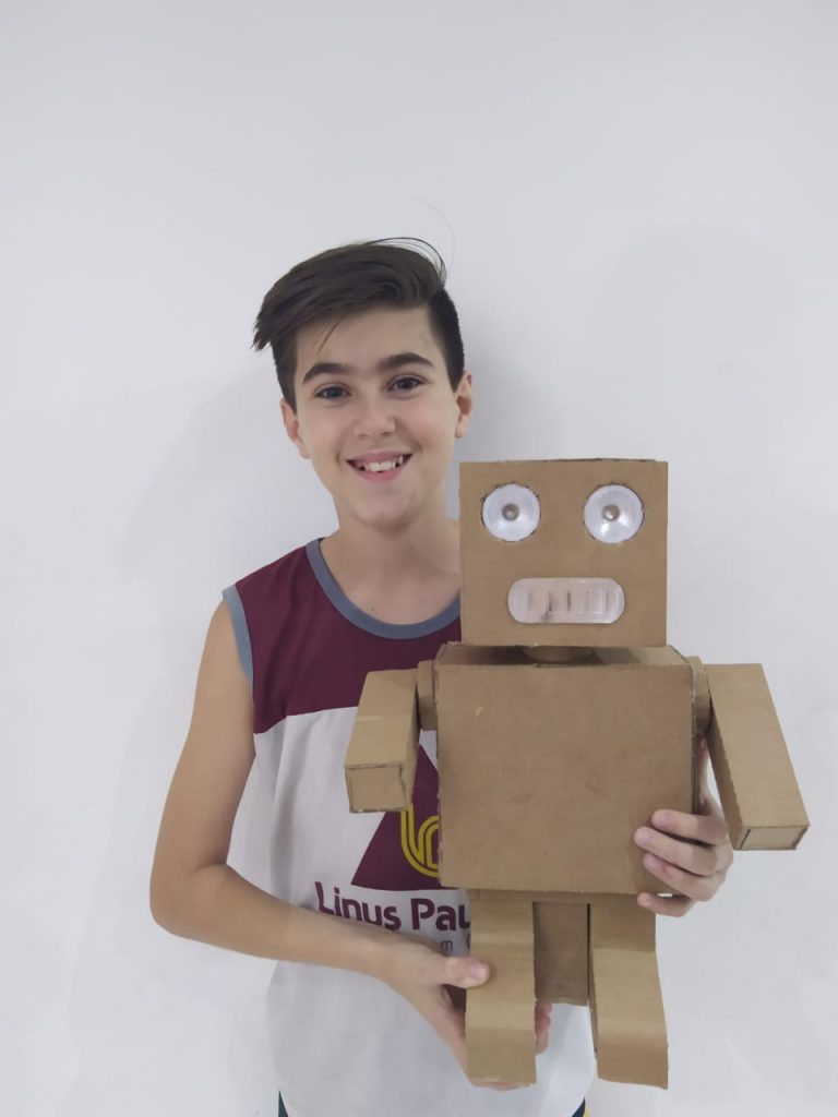 robo-papelão