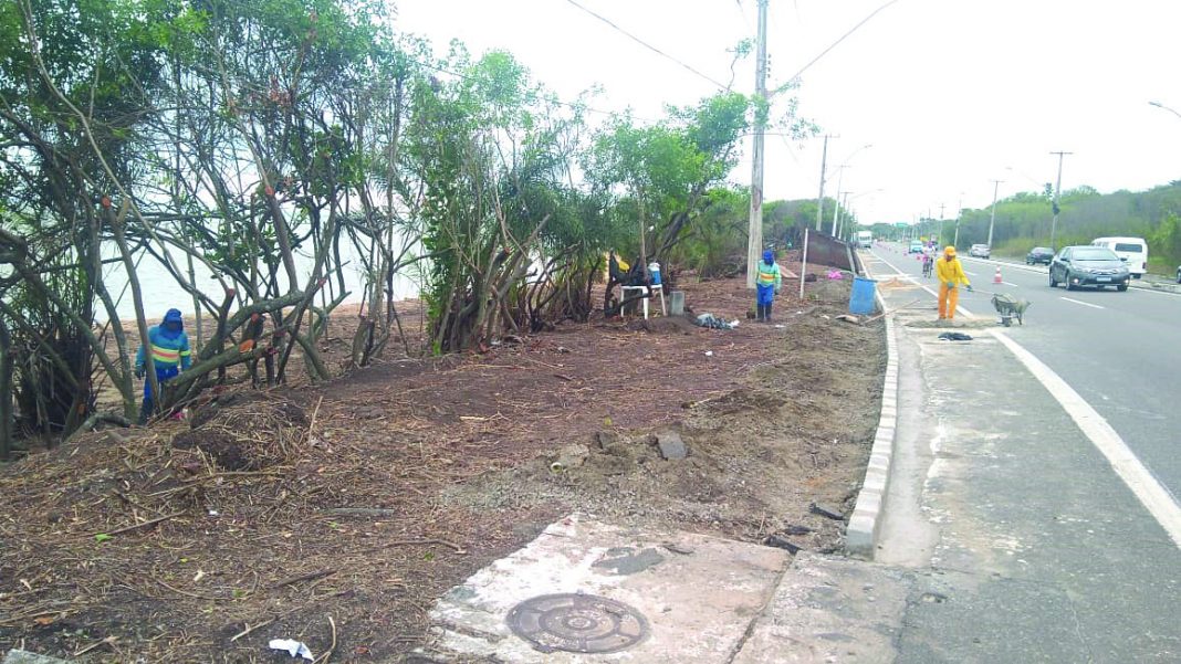 RESTINGA DE MANGUINHOS