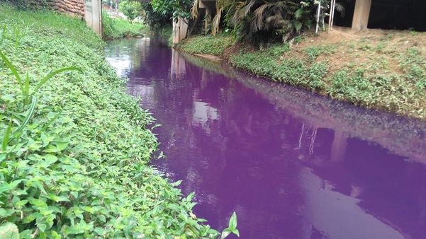 Rio Roxo Edson Peixoto