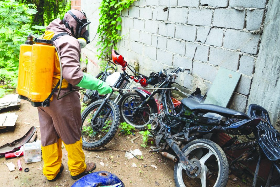 dengue dengue epidemia Serra