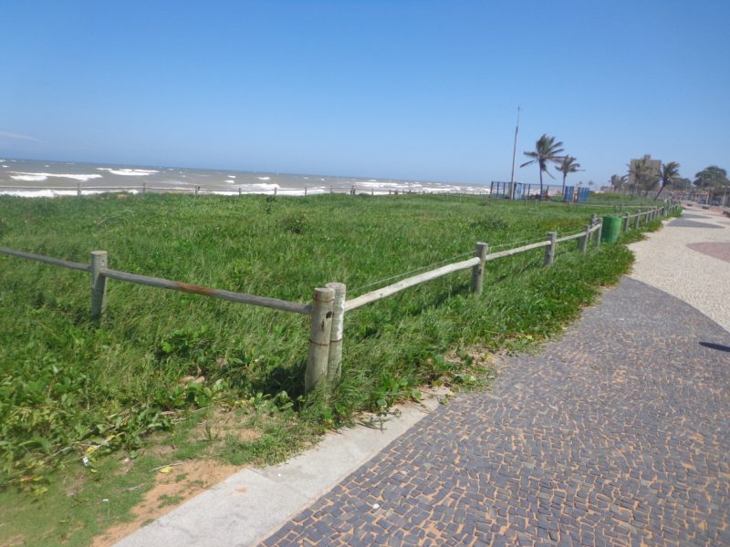 Restinga