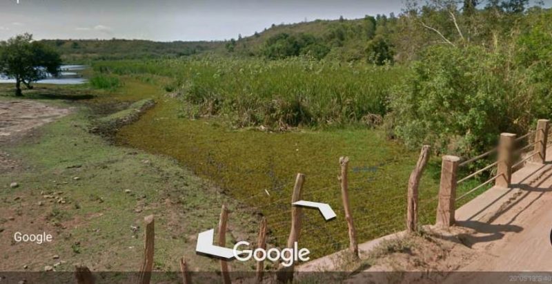 Fazenda Tres Lagoas Ribeirão Juara