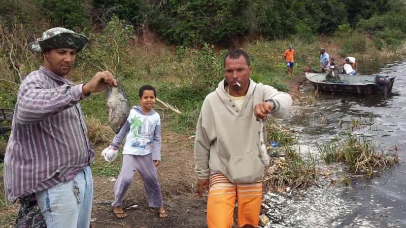 Mortandade peixes Juara