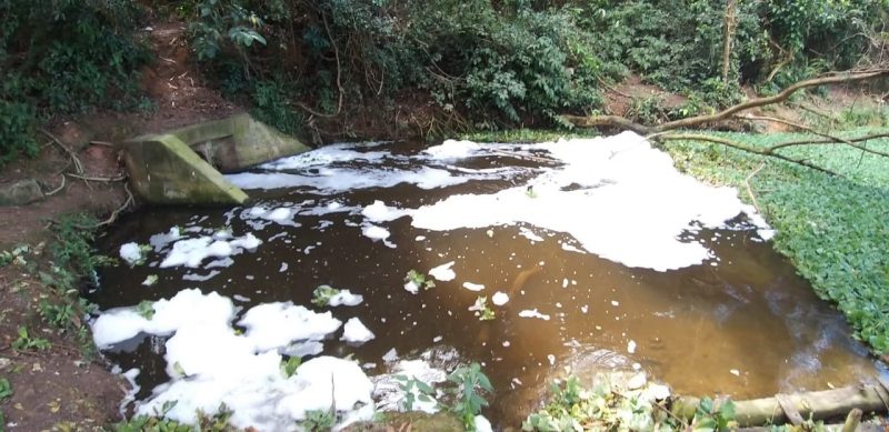 Espuma córrego Maringá
