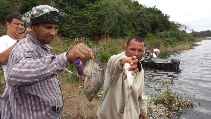 Morte de peixes