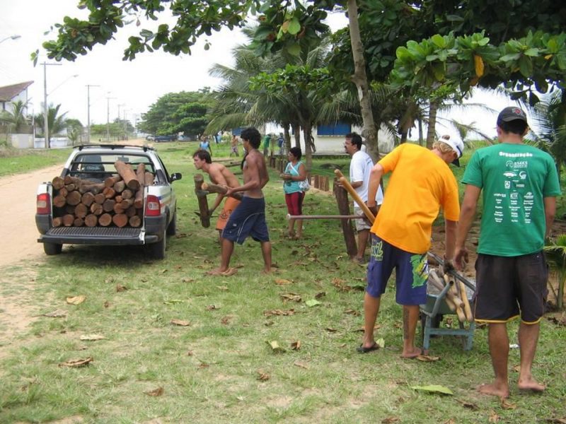 Mutirão restinga