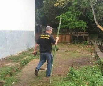 divino vago