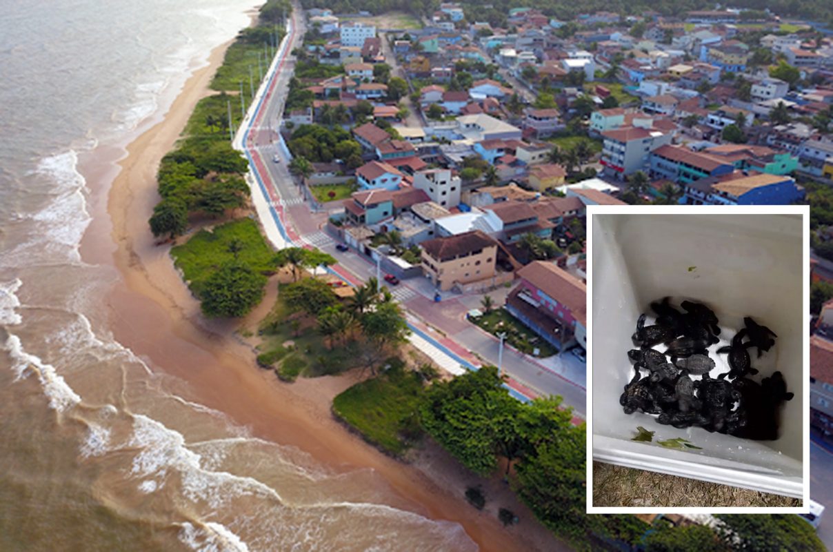 praia-bicanga-tartarugas