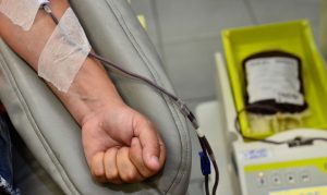 sangue doação Hemoes