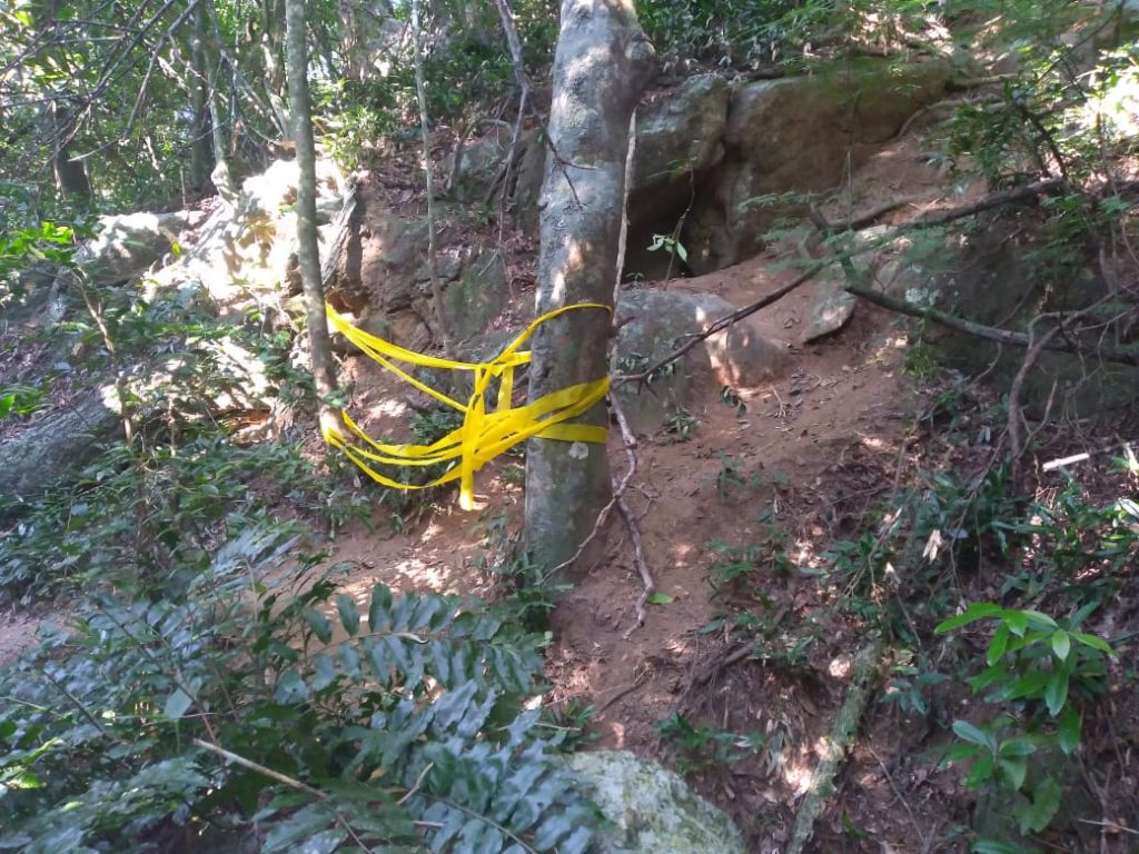 Pedra