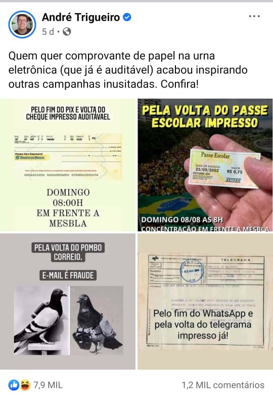 andre trigueiro