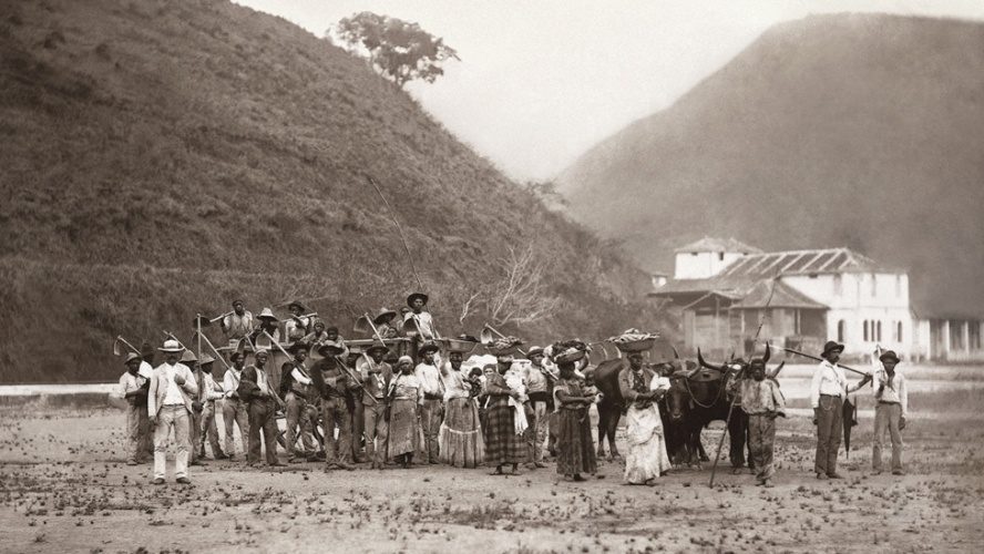 formacao_de_escravos_em_uma_fazenda_de_cafe
