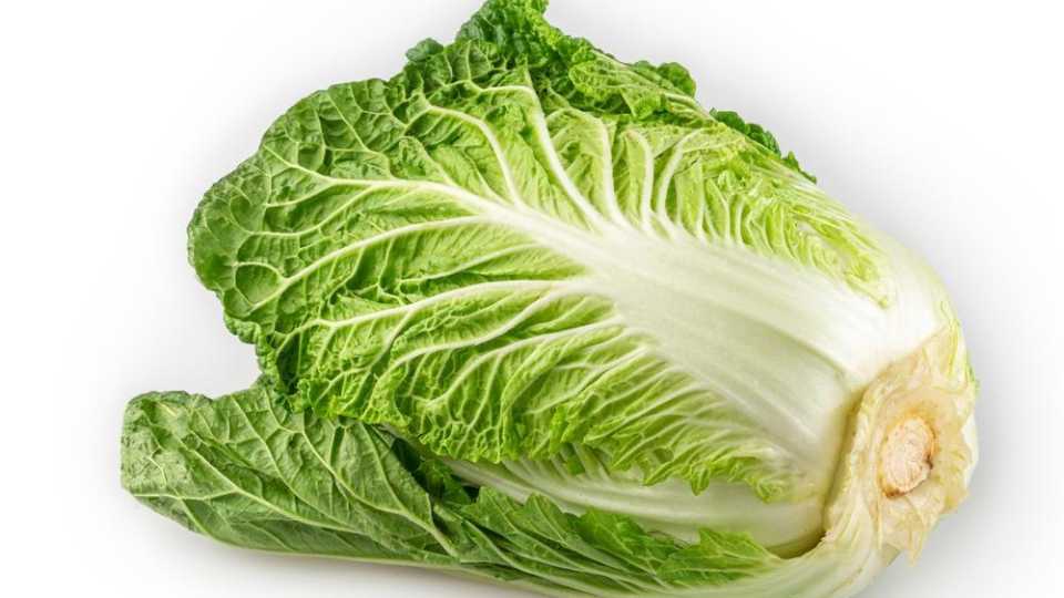 Acelga Alô Nutri