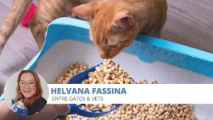 Constipação gatos