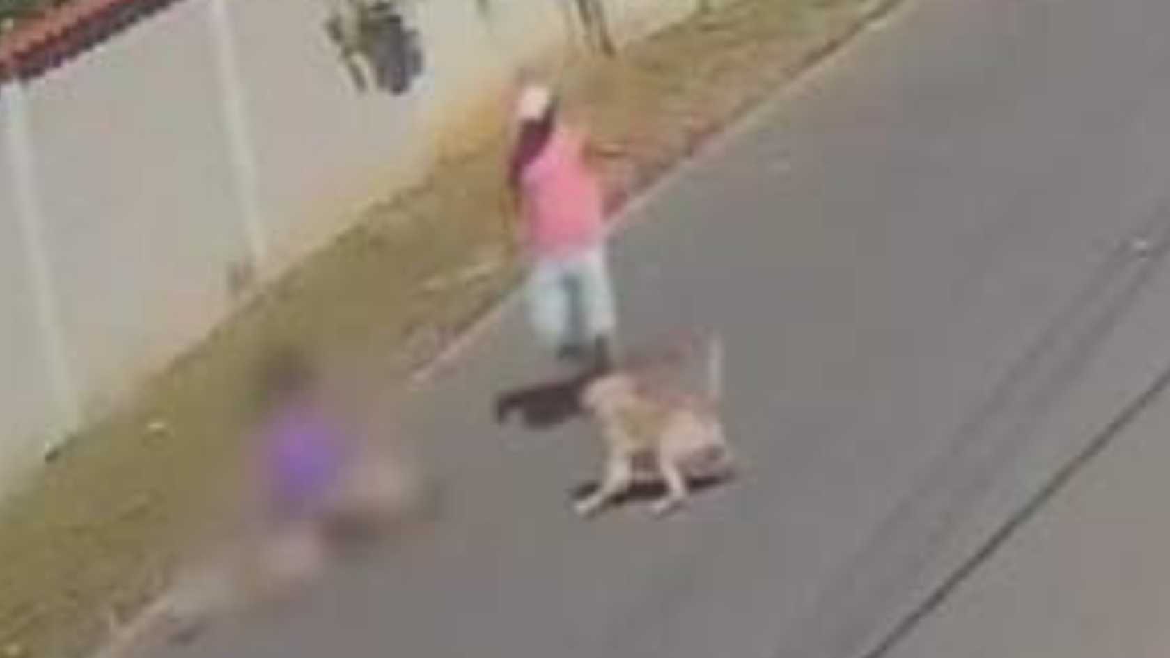 mulher cães Serra
