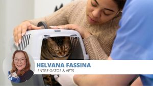 eutanásia