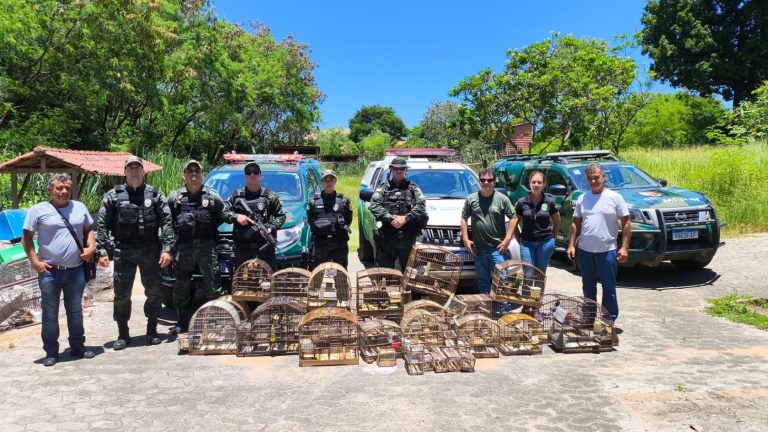 pássaros cativeiro Serra