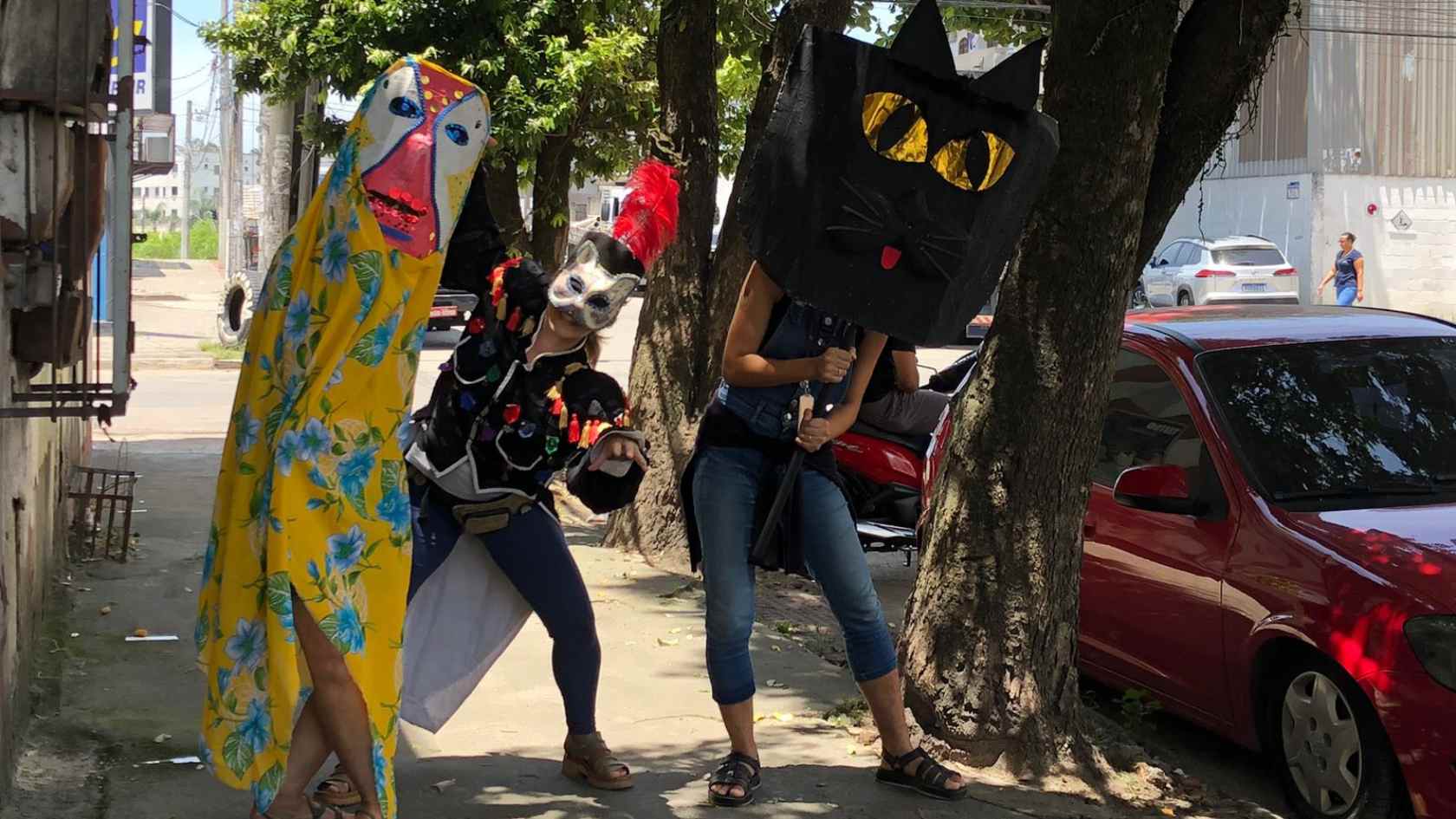 Bumba Meu Gato