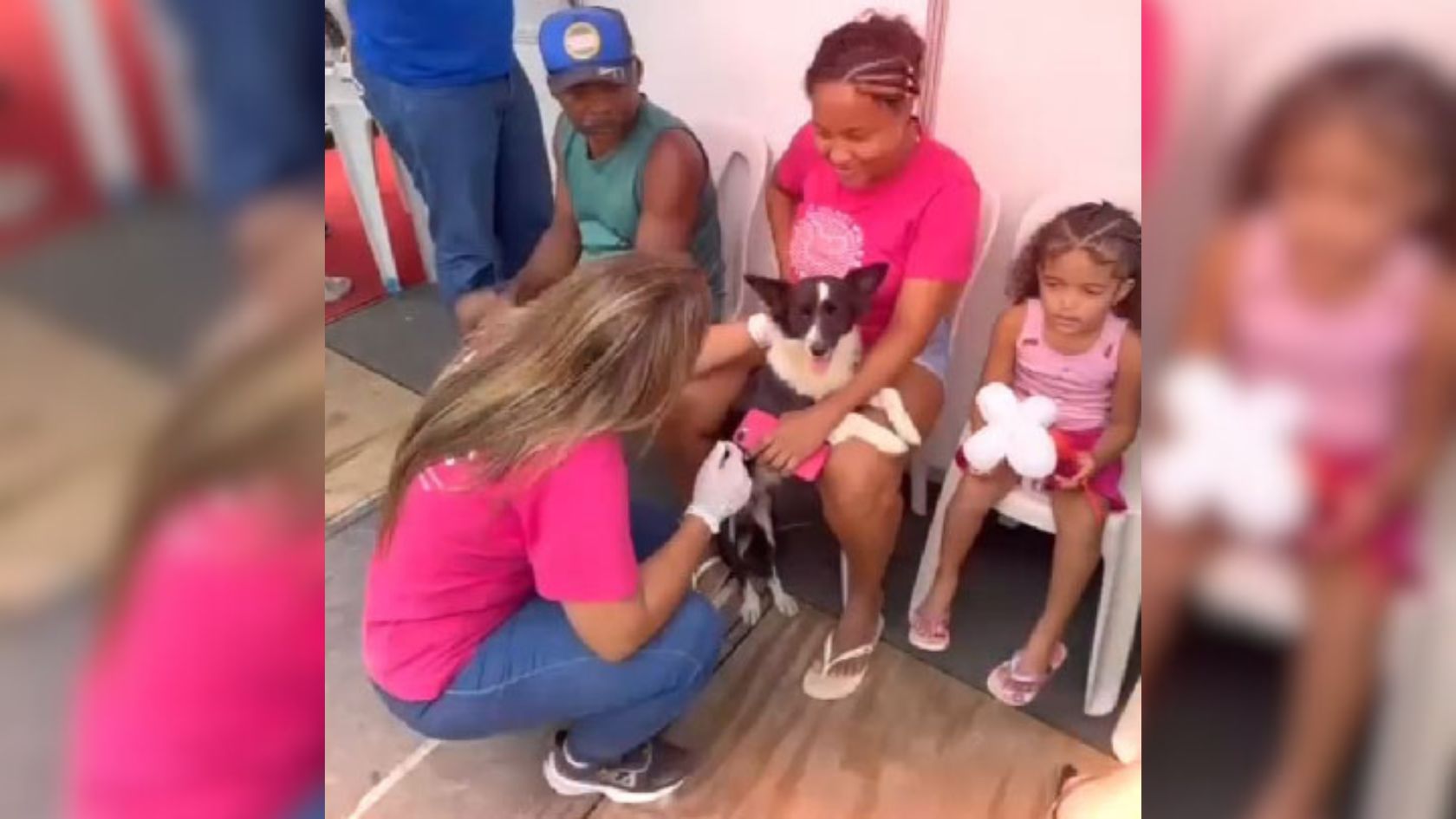 veterinário Serra