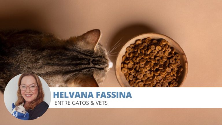 ração gato