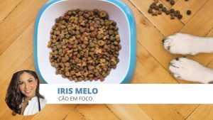 alimentação cão
