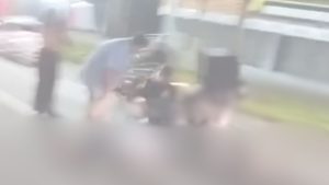 atropelado br 101